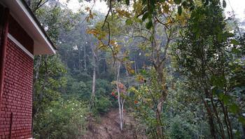 Falling Waters Munnar Εξωτερικό φωτογραφία